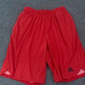 Adidas Shorts